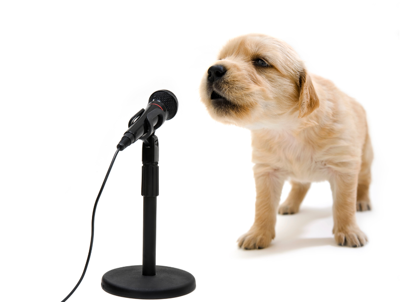 Método interactivo de inglés sin costo.